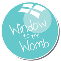 Window To The Womb Voucher Codes 